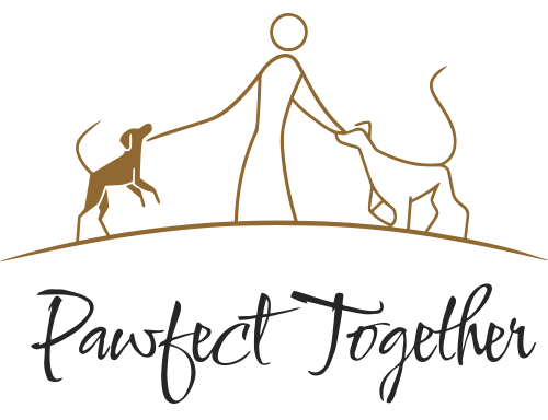 dog trainer & behavior specialist