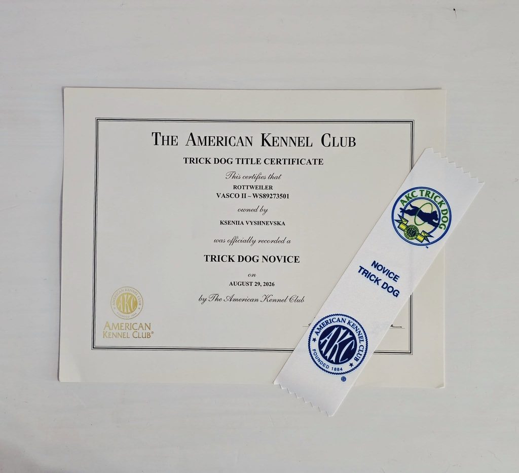 From FCI to AKC: A New Chapter in My Journey as a Dog Trainer
